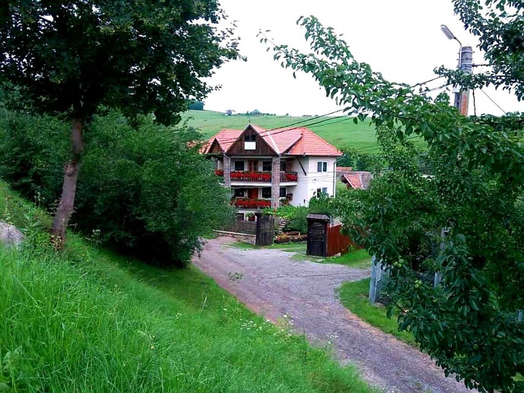 Pensiunea Bordás Panzió Sfântu-Gheorghe Kültér fotó