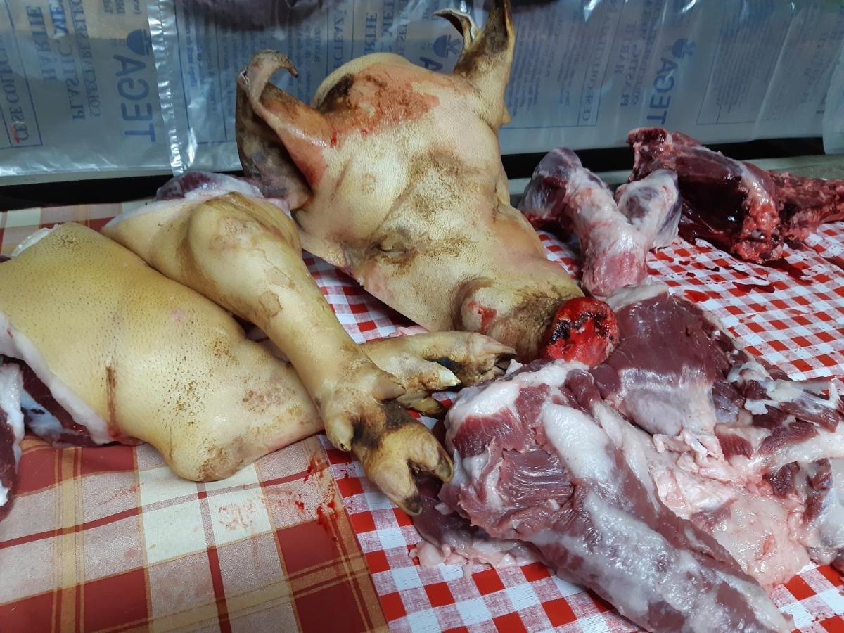 Pensiunea Bordás Panzió Sfântu-Gheorghe Kültér fotó